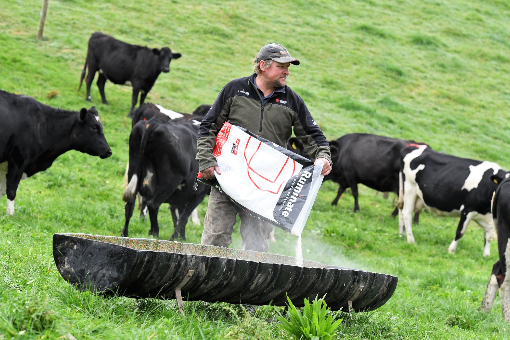 JTR Family Farms, Dairy Farm