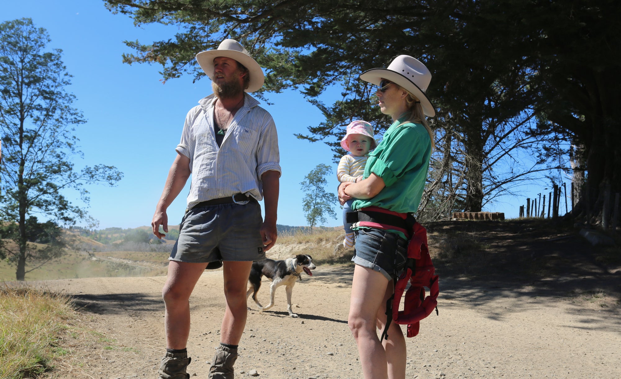 Lucky Hill Farm, Beef