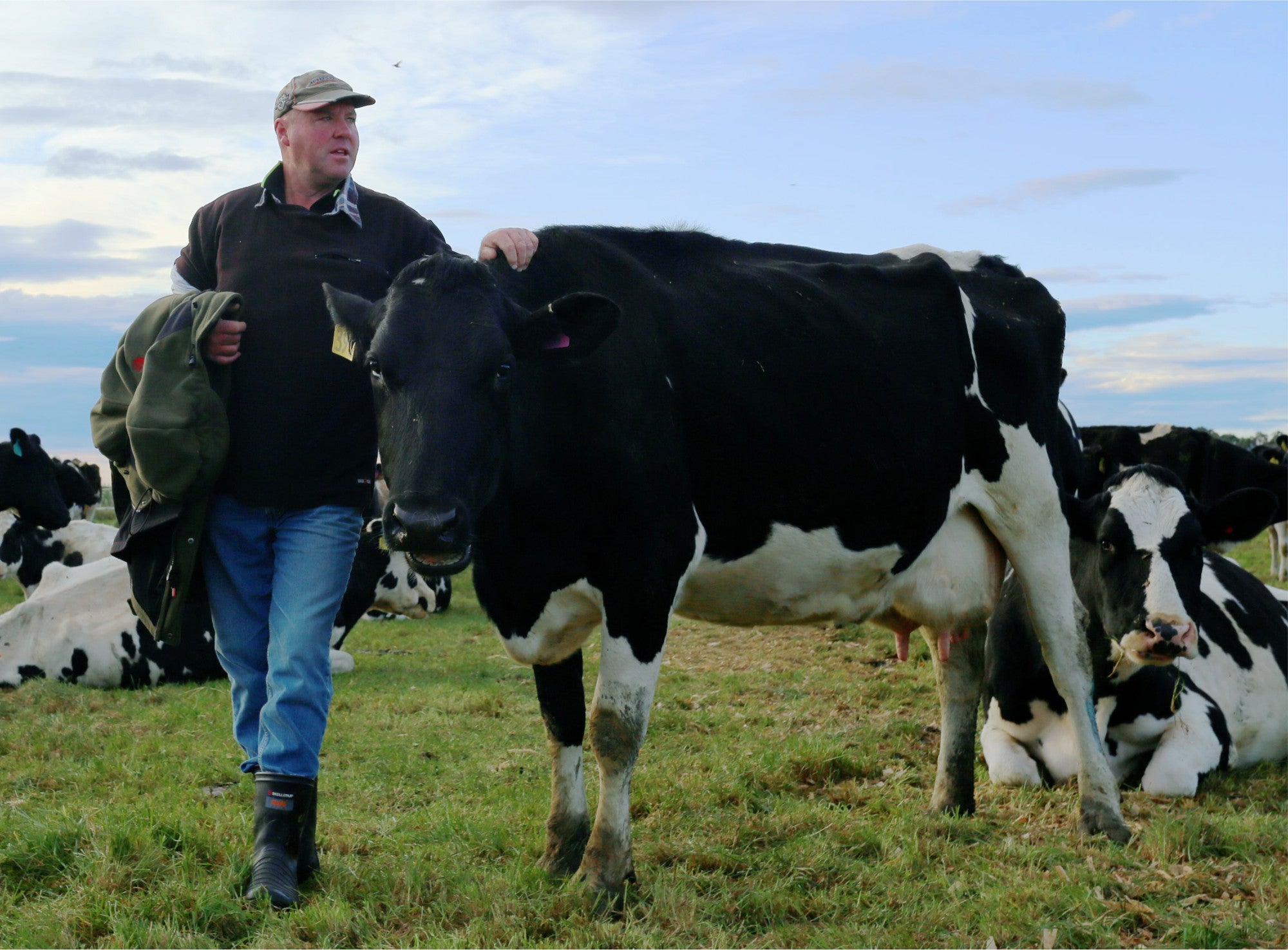 Glentui Enterprises, Dairy Farm