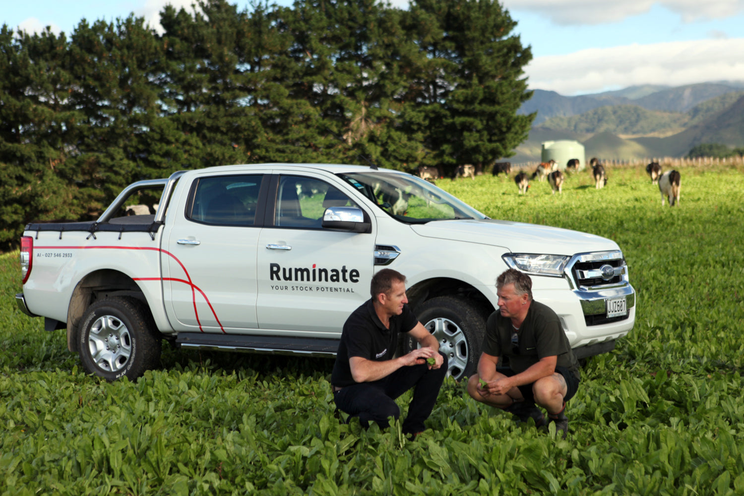 Ruminate - The agricultural research and goals that drive us