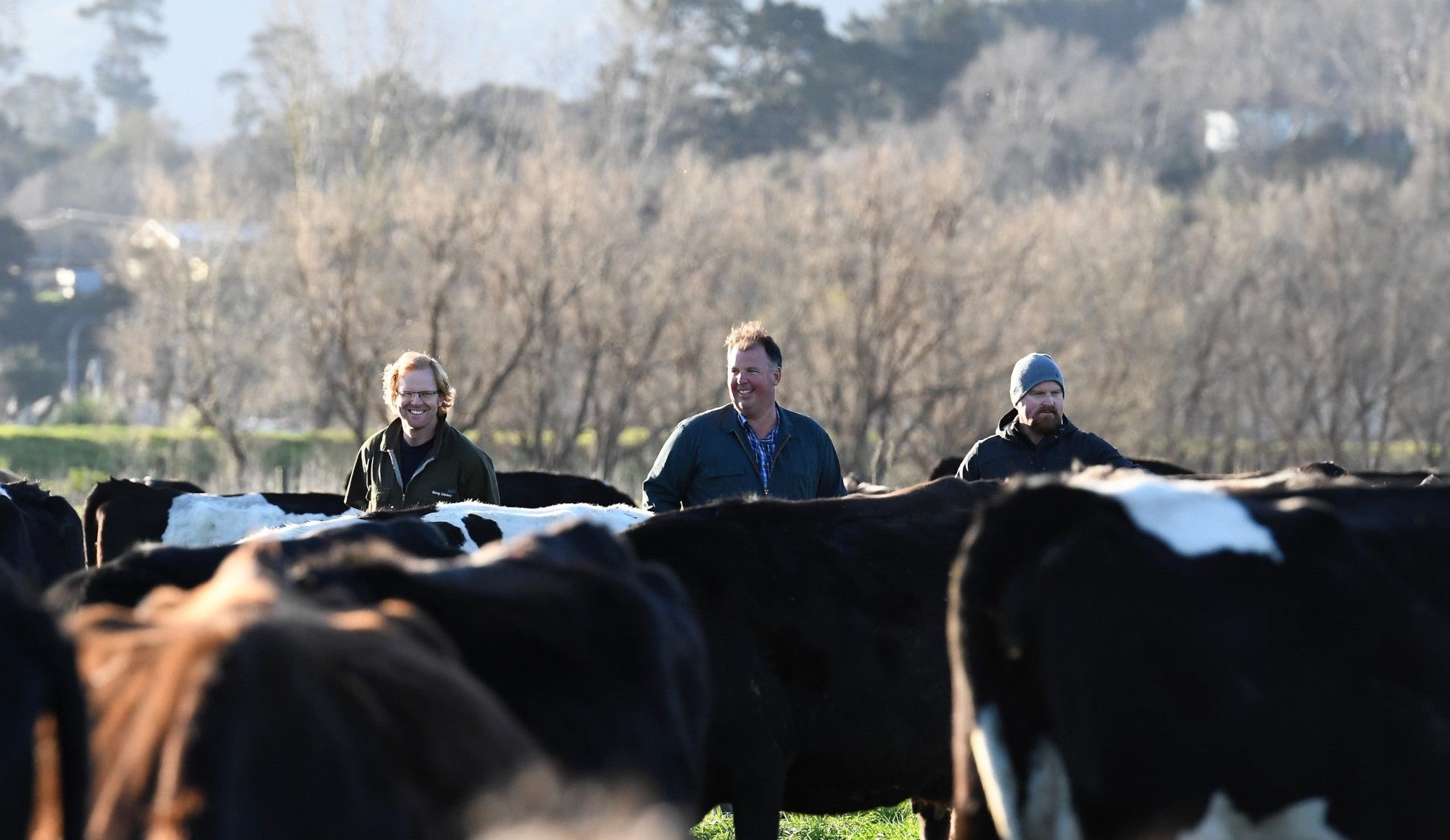 T& N Kuter Family Trust, Dairy Farm