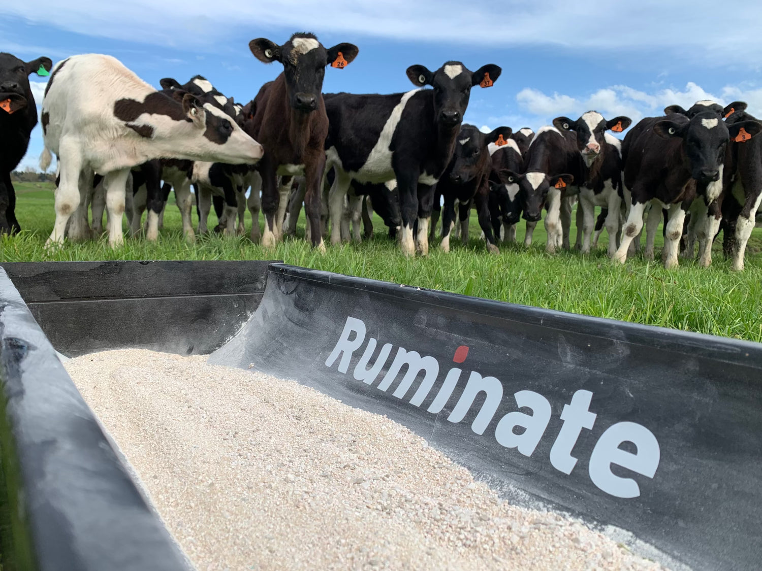 The direction of Dairy in New Zealand - and why science matters