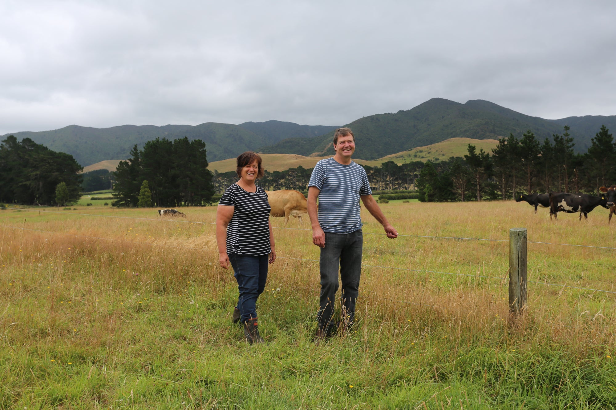 The Baxters, Dairy Farm