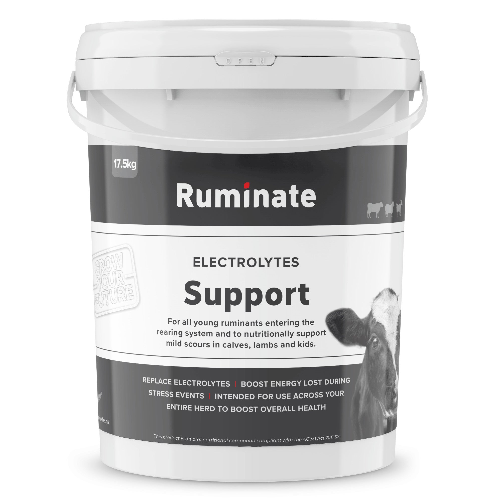 Support Electrolytes
