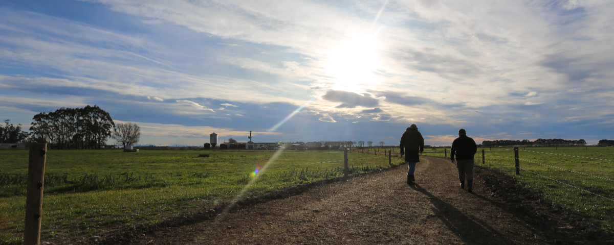 Free-farm-nutrition-review-ruminate-nz