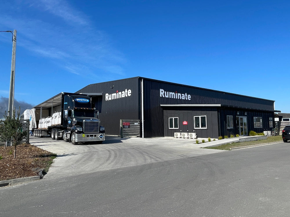 Ruminate - The Origin Story