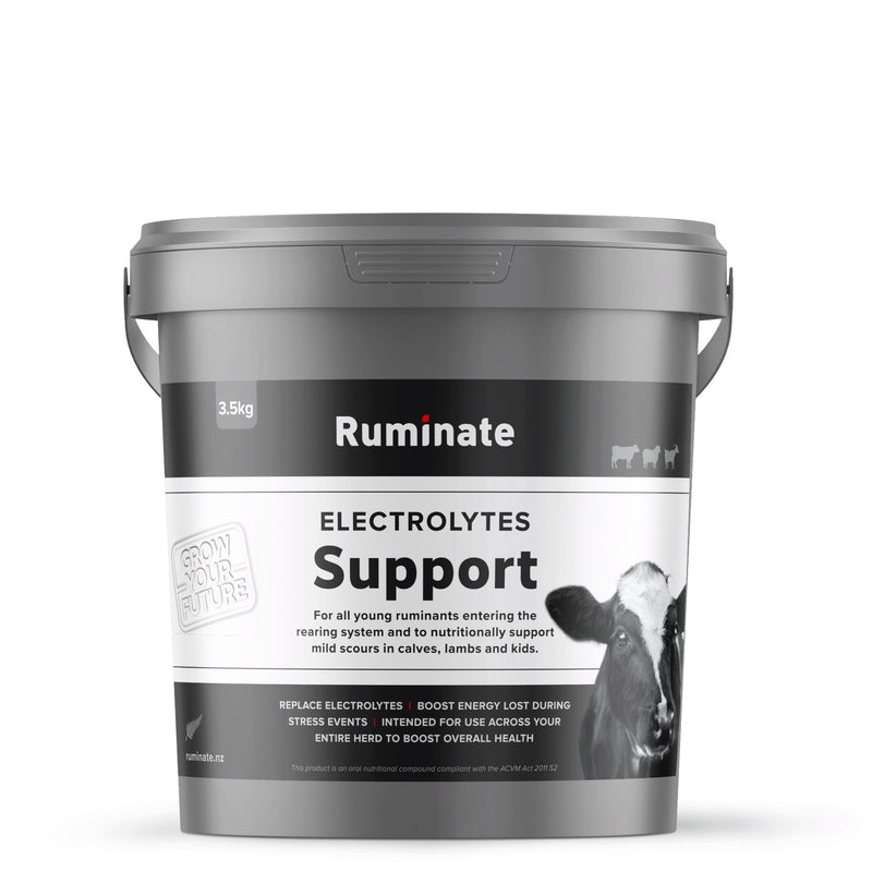 Support Electrolytes