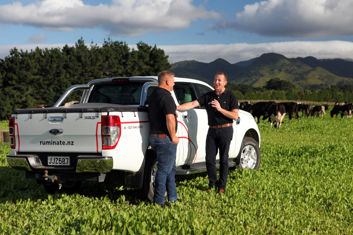 Maize Balancer | Balance Dairy Cow maize silage diets – Ruminate